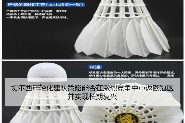 切尔西年轻化建队策略能否在激烈竞争中重返欧冠区并实现长期复兴